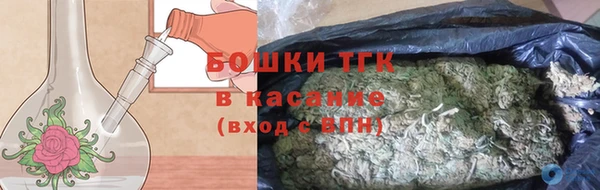 индика Горнозаводск
