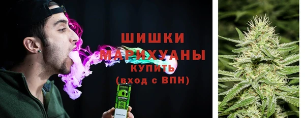 индика Горнозаводск