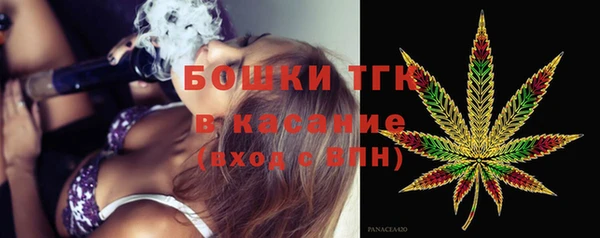 индика Горнозаводск