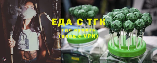 индика Горнозаводск