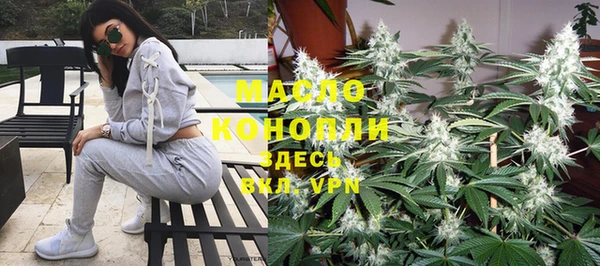 индика Горнозаводск