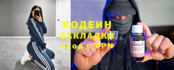 индика Горнозаводск