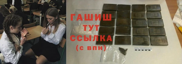индика Горнозаводск