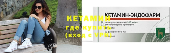 индика Горнозаводск