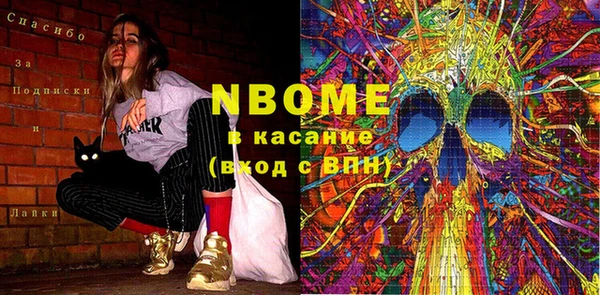 индика Горнозаводск