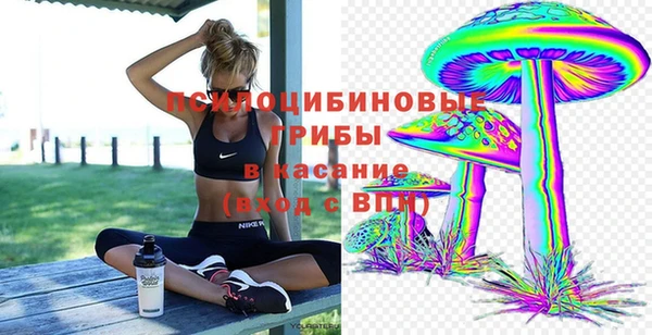 твердый Горно-Алтайск