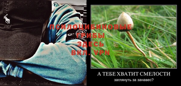 индика Горнозаводск