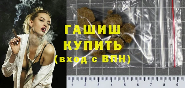 индика Горнозаводск
