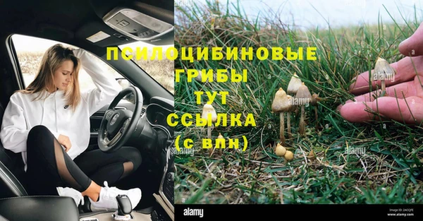 твердый Горно-Алтайск