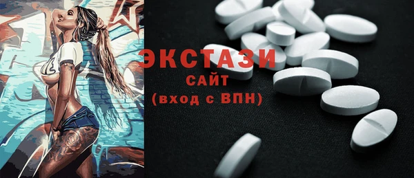 индика Горнозаводск