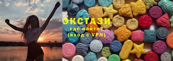 индика Горнозаводск