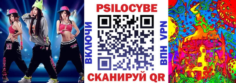blacksprut сайт  наркошоп  Приволжский  Псилоцибиновые грибы Psilocybe 